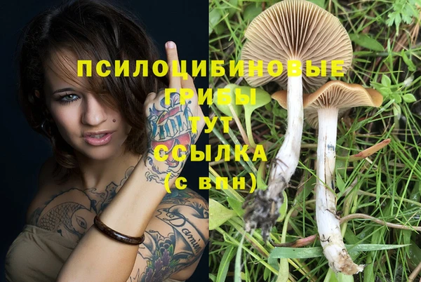 mix Зеленокумск
