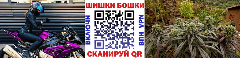 как найти наркотики  Старица  МАРИХУАНА планчик 